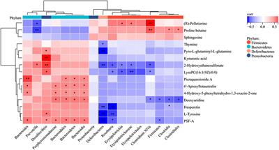 Gut microbiota and metabolomics unveil the mechanisms of Lomatogonium rotatum in ameliorating visceral fat and serum lipids in high-fat diet-induced obese mice